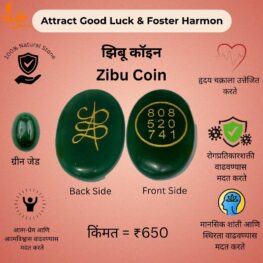 zibu coins