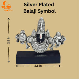 silver and black plated balaji symbol